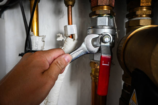 Best Local Plumber Services  in Montegut, LA